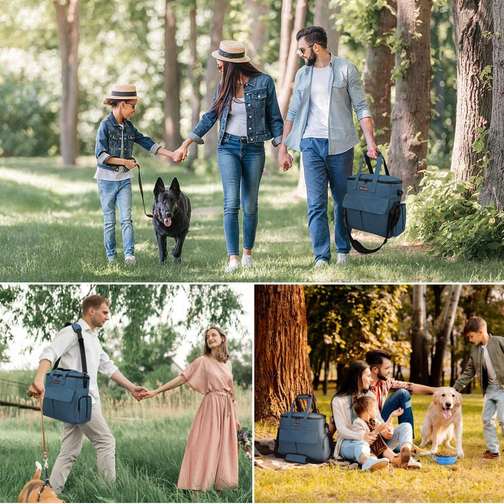 Premium Weekend Dog Travel Bag Set with Two Food Bags, Two Bowls, and Mat in Blue