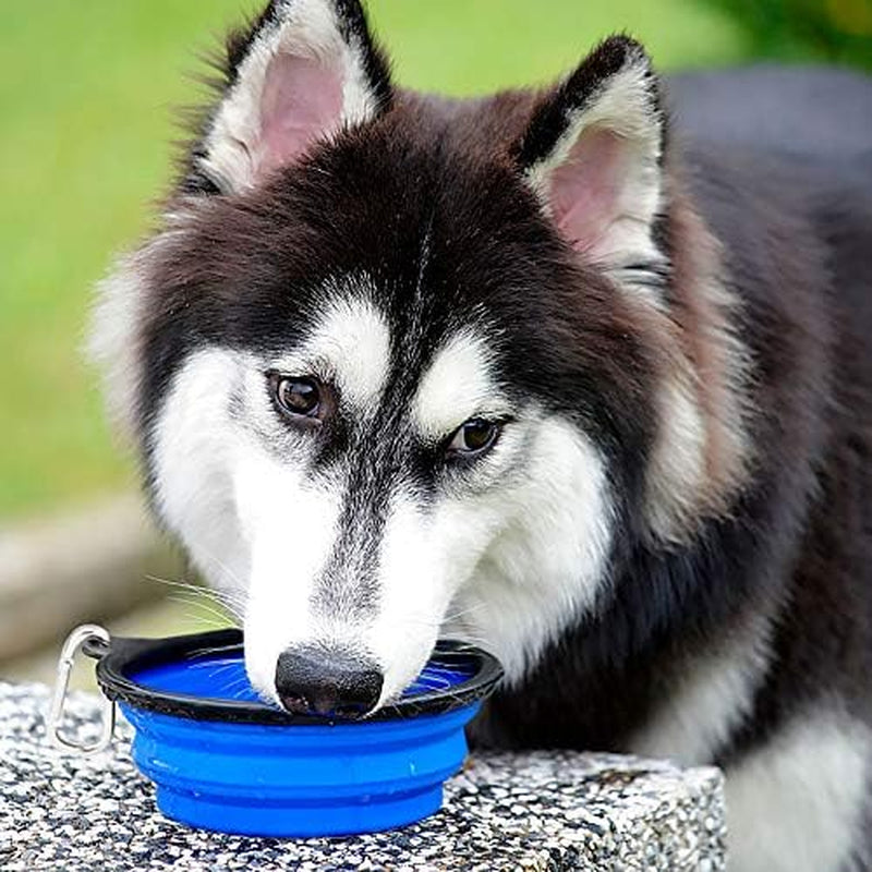 Large Collapsible Dog Bowls 2 Pack, 34Oz Foldable Dog Travel Bowl