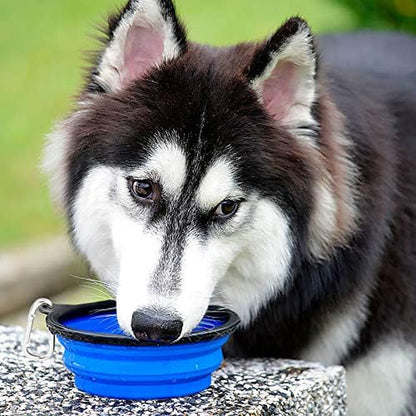 Large Collapsible Dog Bowls 2 Pack, 34Oz Foldable Dog Travel Bowl
