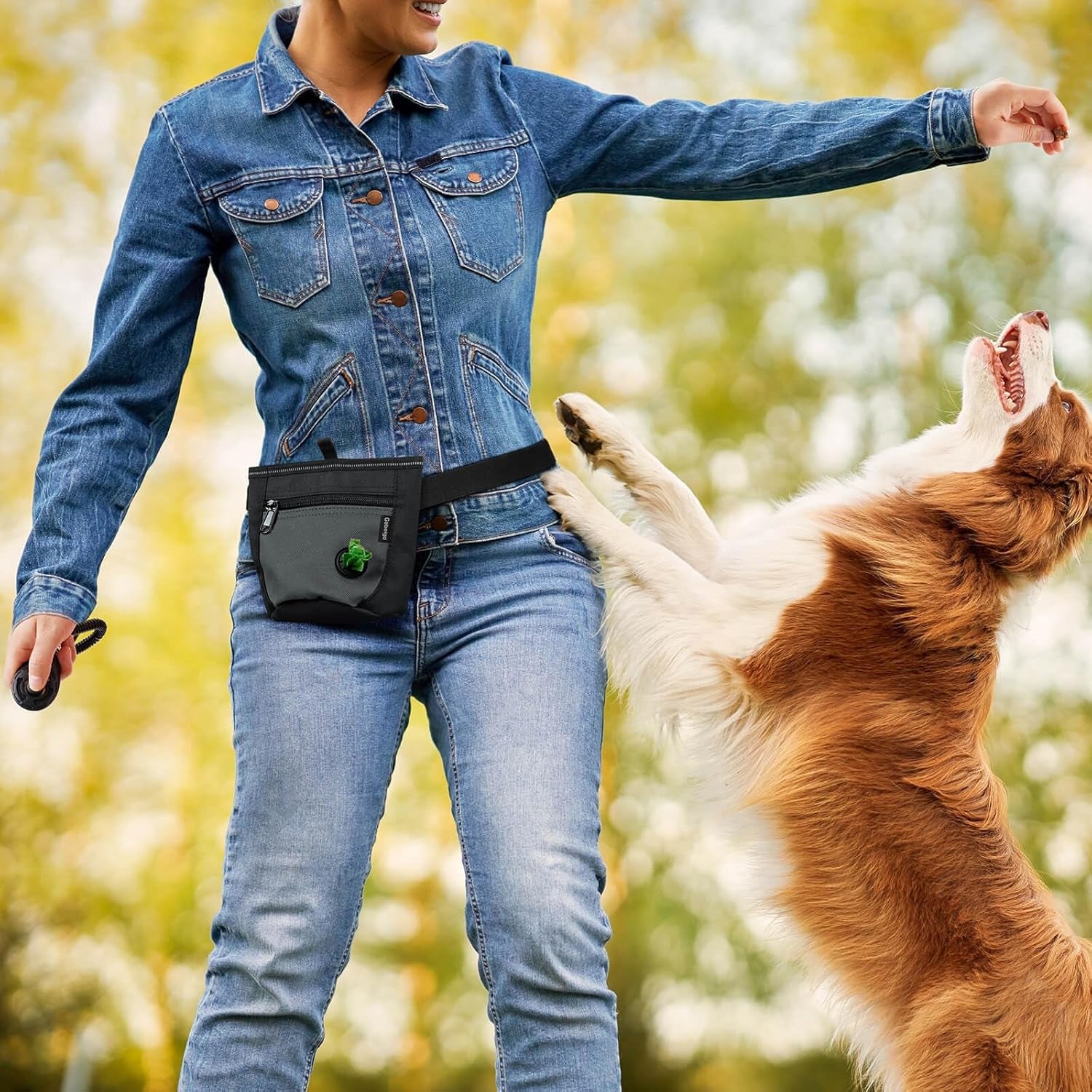 2 Cup Dog Treat Pouch with Training Clicker(Black/Gray)