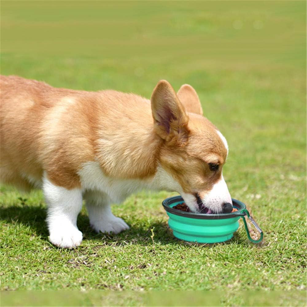 Collapsible Pet Bowl Set for Dogs and Cats, Portable Silicone Feeders, Foldable and Expandable for Food and Water, Ideal for Travel and Camping (Light Blue and Light Green)