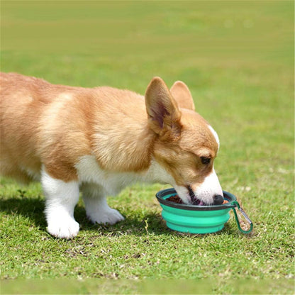 Collapsible Pet Bowl Set for Dogs and Cats, Portable Silicone Feeders, Foldable and Expandable for Food and Water, Ideal for Travel and Camping (Light Blue and Light Green)