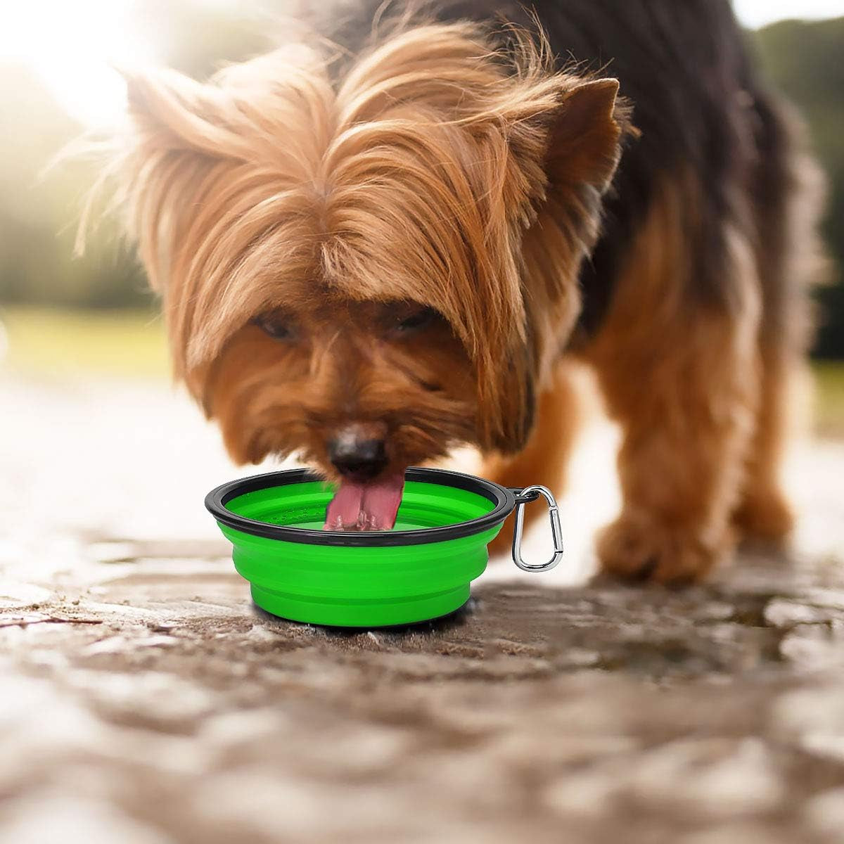Large Collapsible Dog Bowls 2 Pack, 34Oz Foldable Dog Travel Bowl