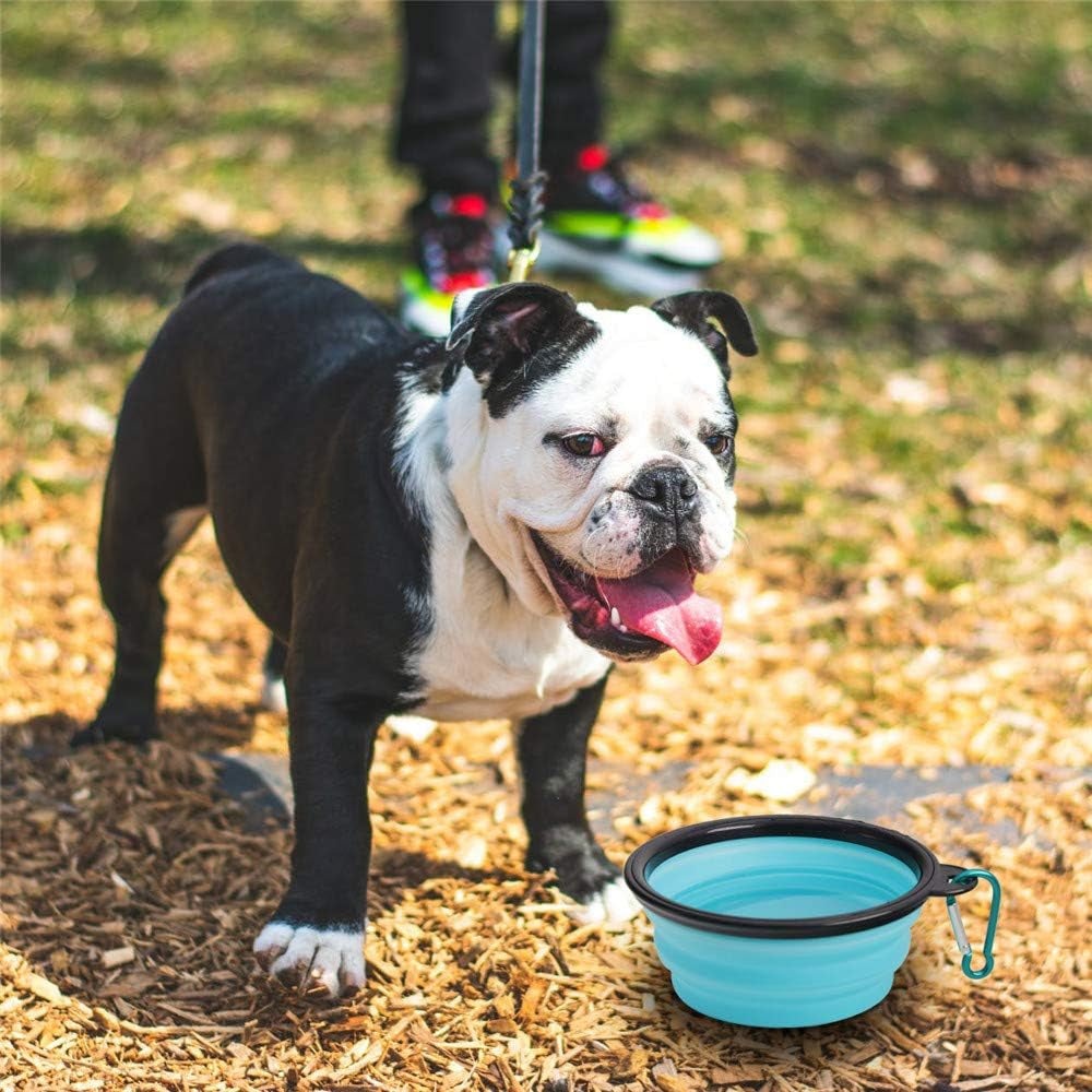 Collapsible Pet Bowl Set for Dogs and Cats, Portable Silicone Feeders, Foldable and Expandable for Food and Water, Ideal for Travel and Camping (Light Blue and Light Green)